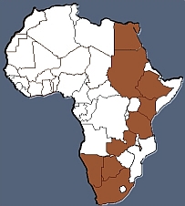 East African Route option